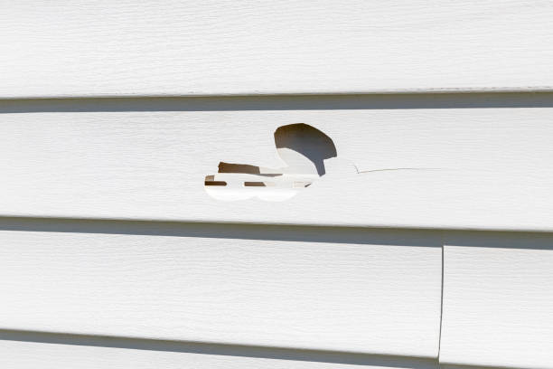 Best Vinyl Siding Installation  in Malta, MT